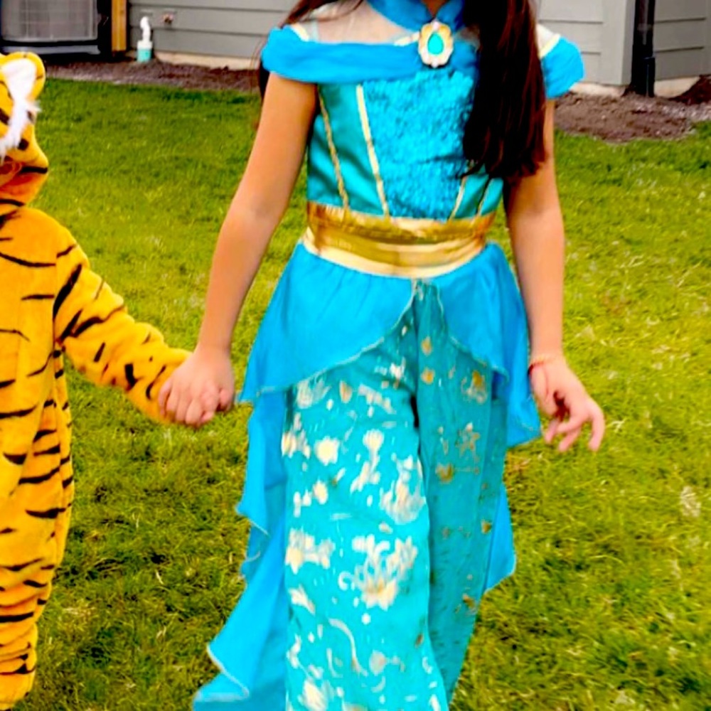 Disney Princess Jasmine costume